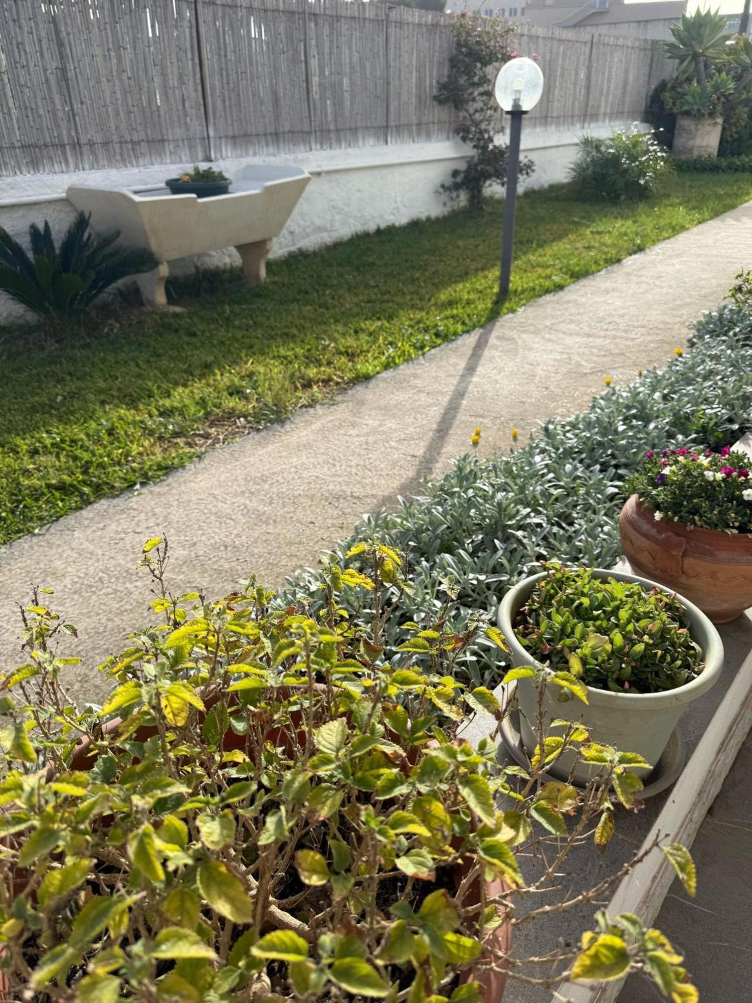 A Casa Di Coso B&B Marsala Luaran gambar